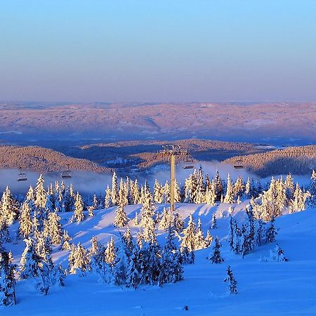 Sjusjoen Hytteutleie As Villa Dış mekan fotoğraf