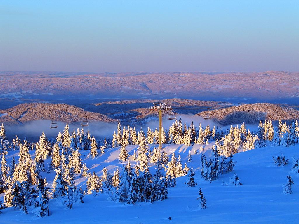 Sjusjoen Hytteutleie As Villa Dış mekan fotoğraf