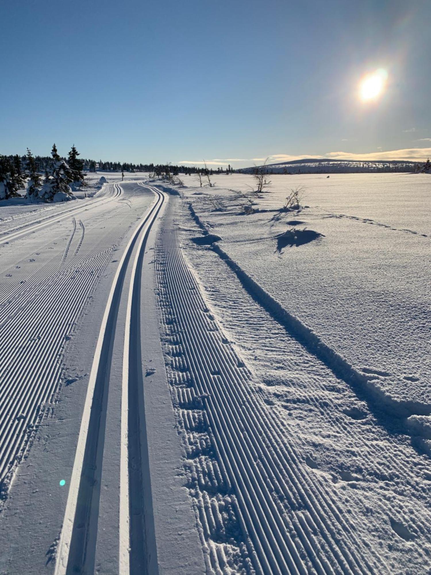 Sjusjoen Hytteutleie As Villa Dış mekan fotoğraf