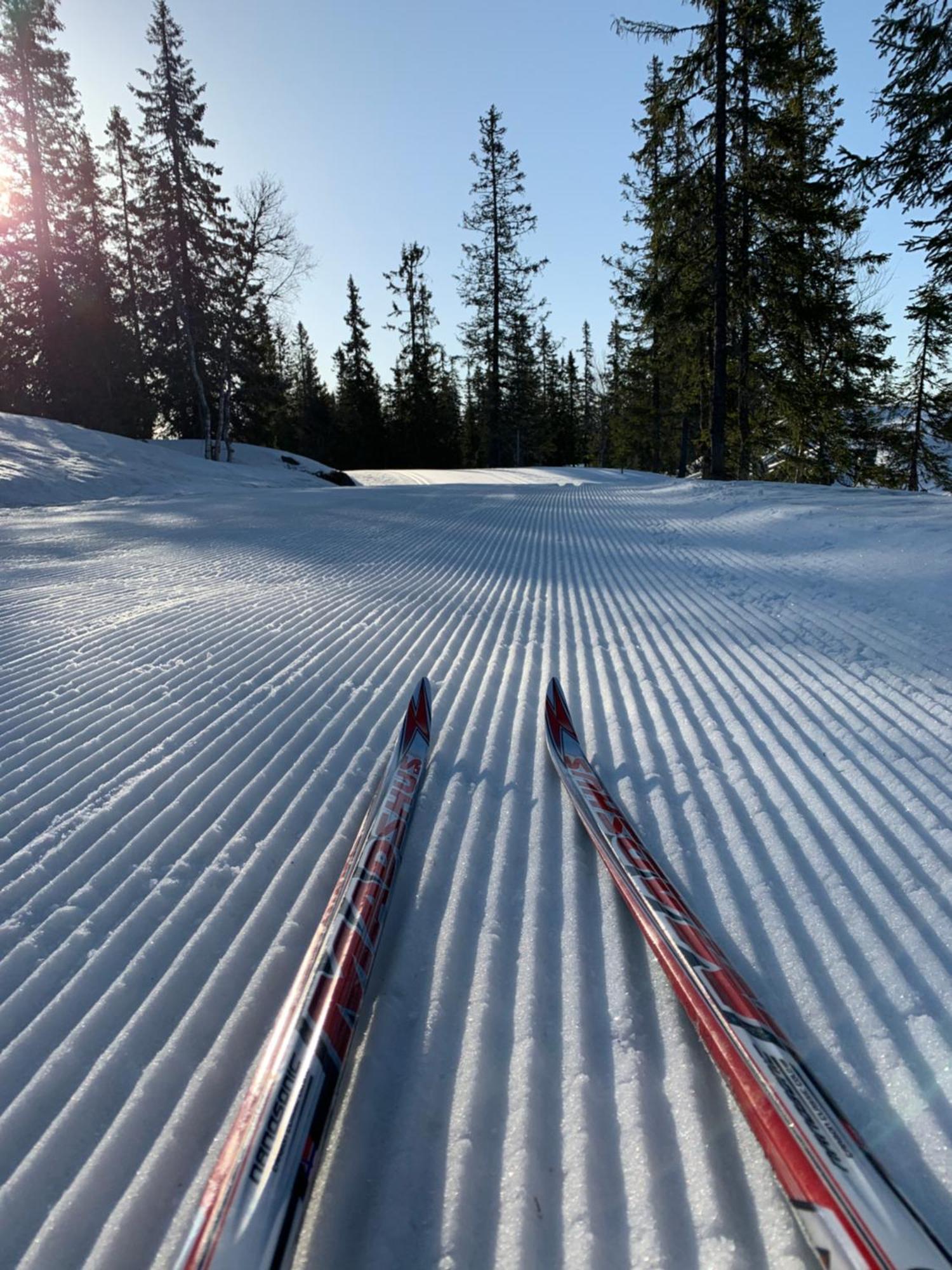 Sjusjoen Hytteutleie As Dış mekan fotoğraf