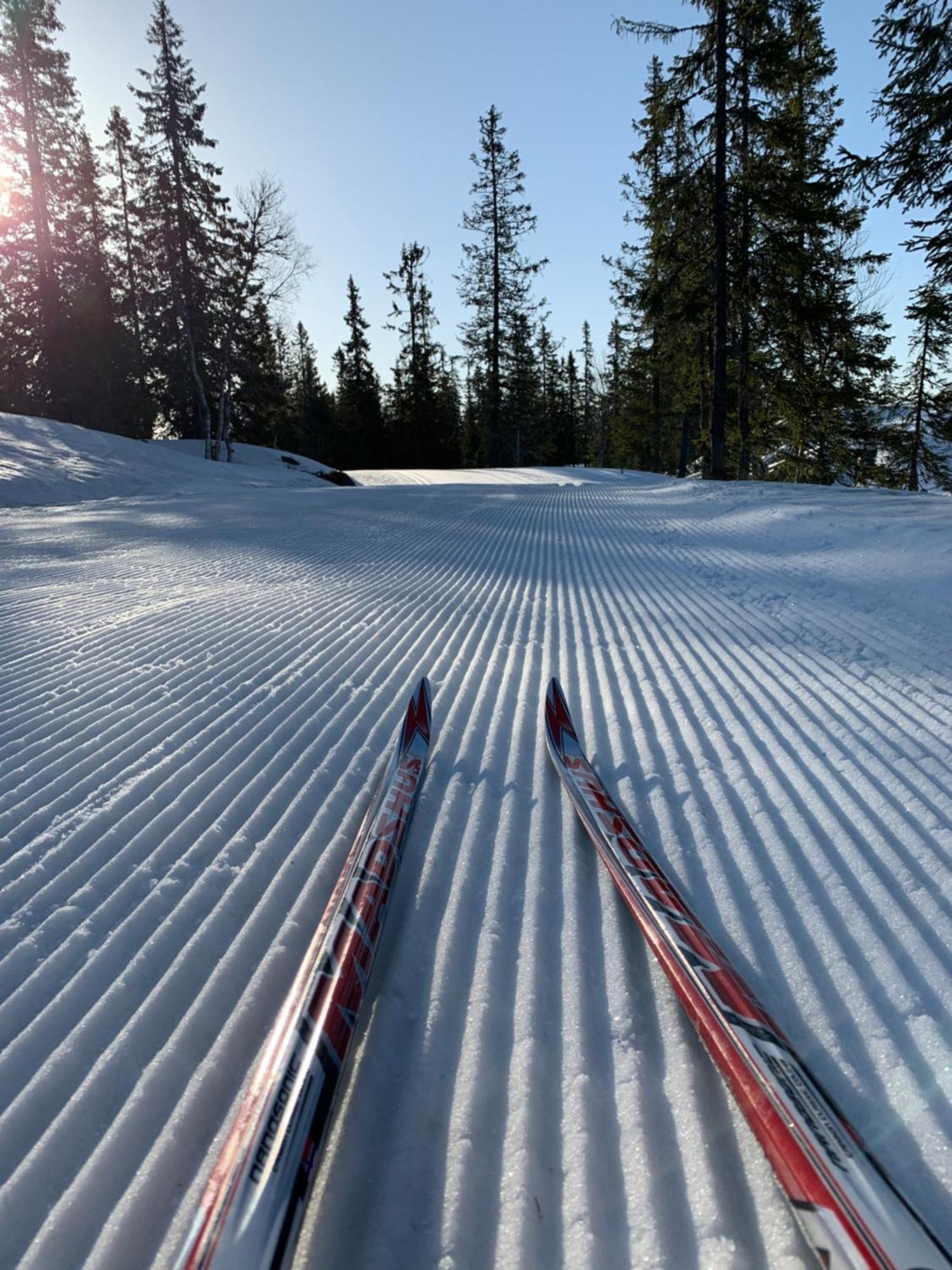 Sjusjoen Hytteutleie As Villa Dış mekan fotoğraf