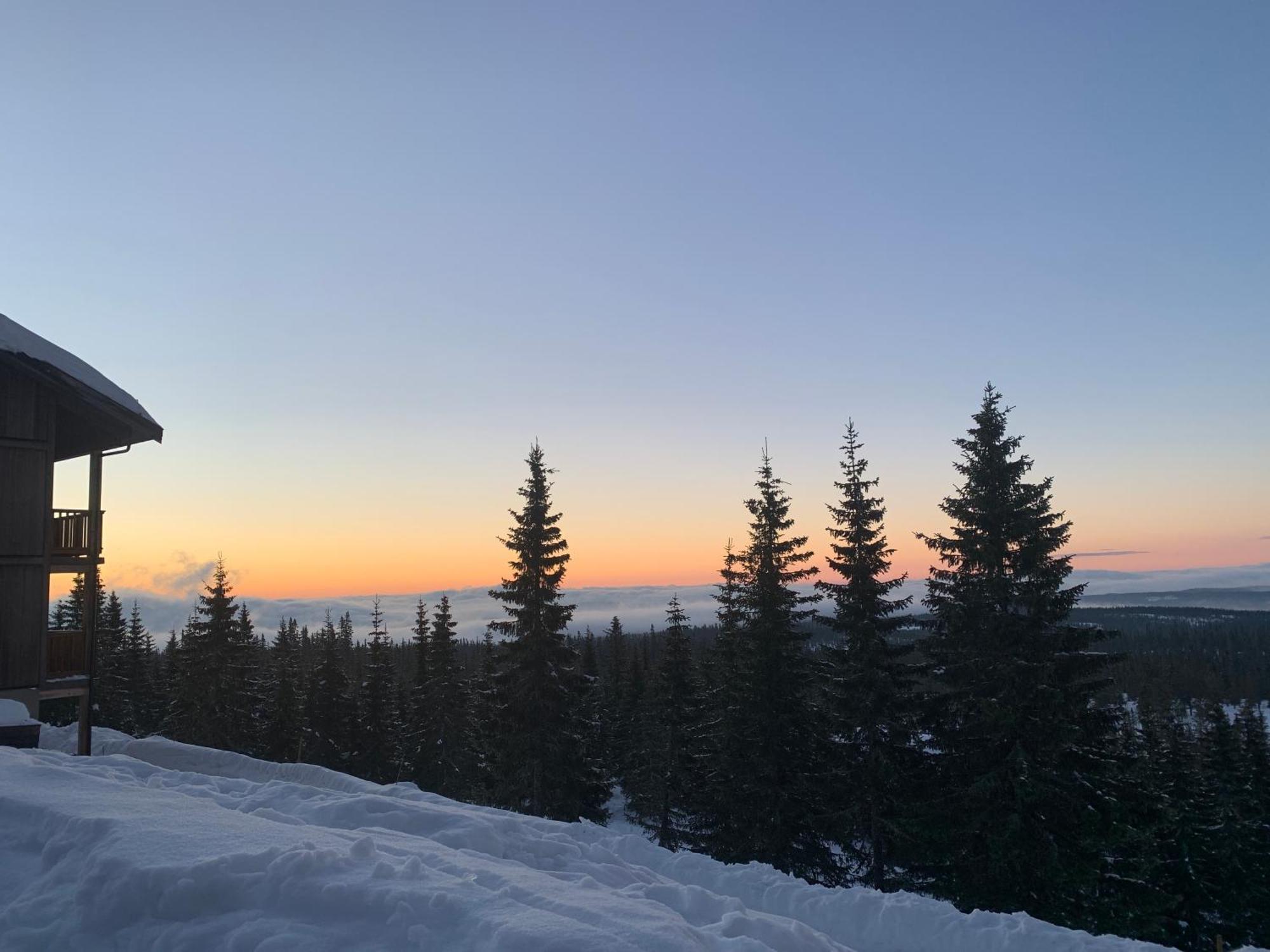 Sjusjoen Hytteutleie As Villa Dış mekan fotoğraf