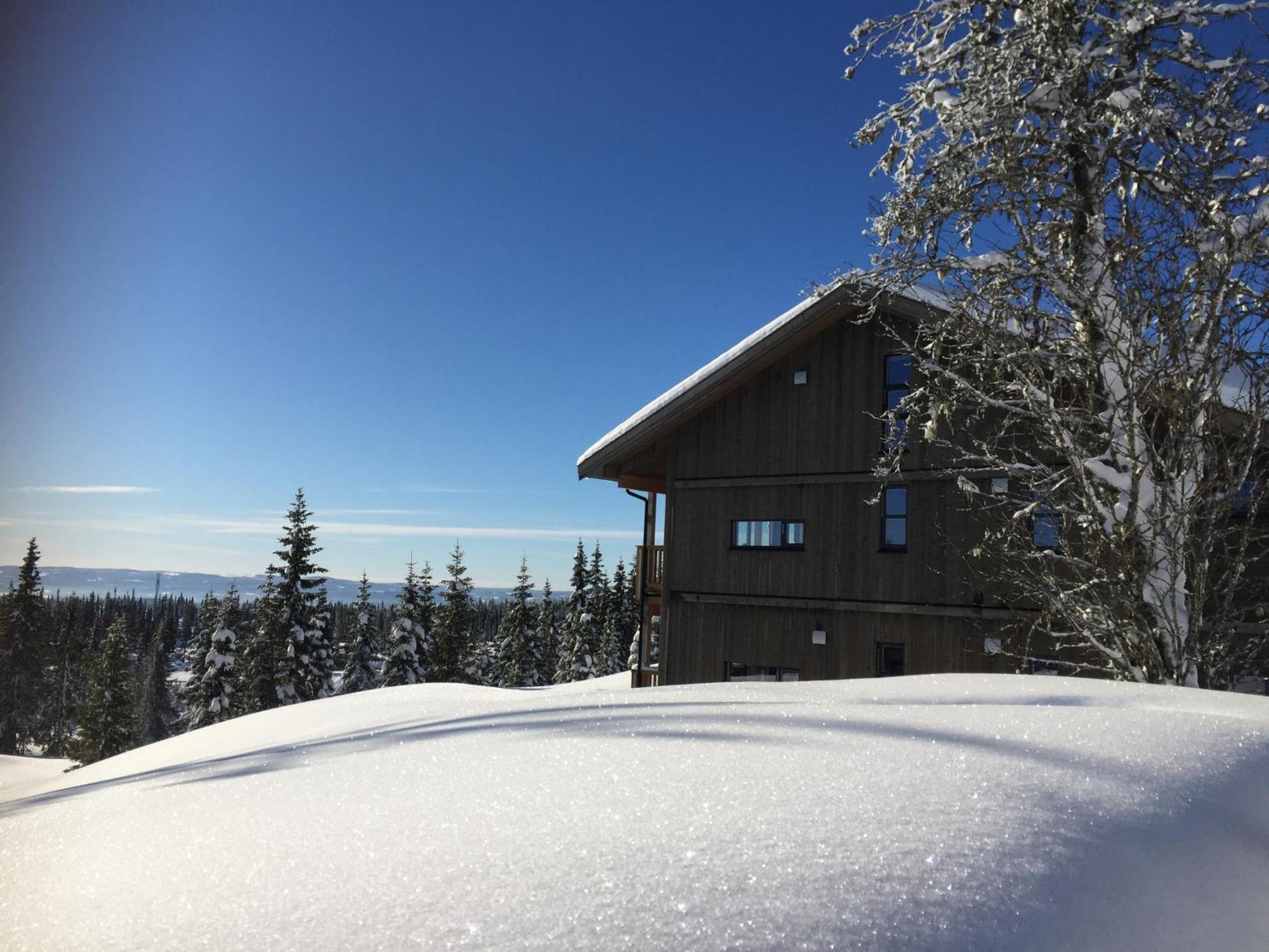 Sjusjoen Hytteutleie As Villa Dış mekan fotoğraf