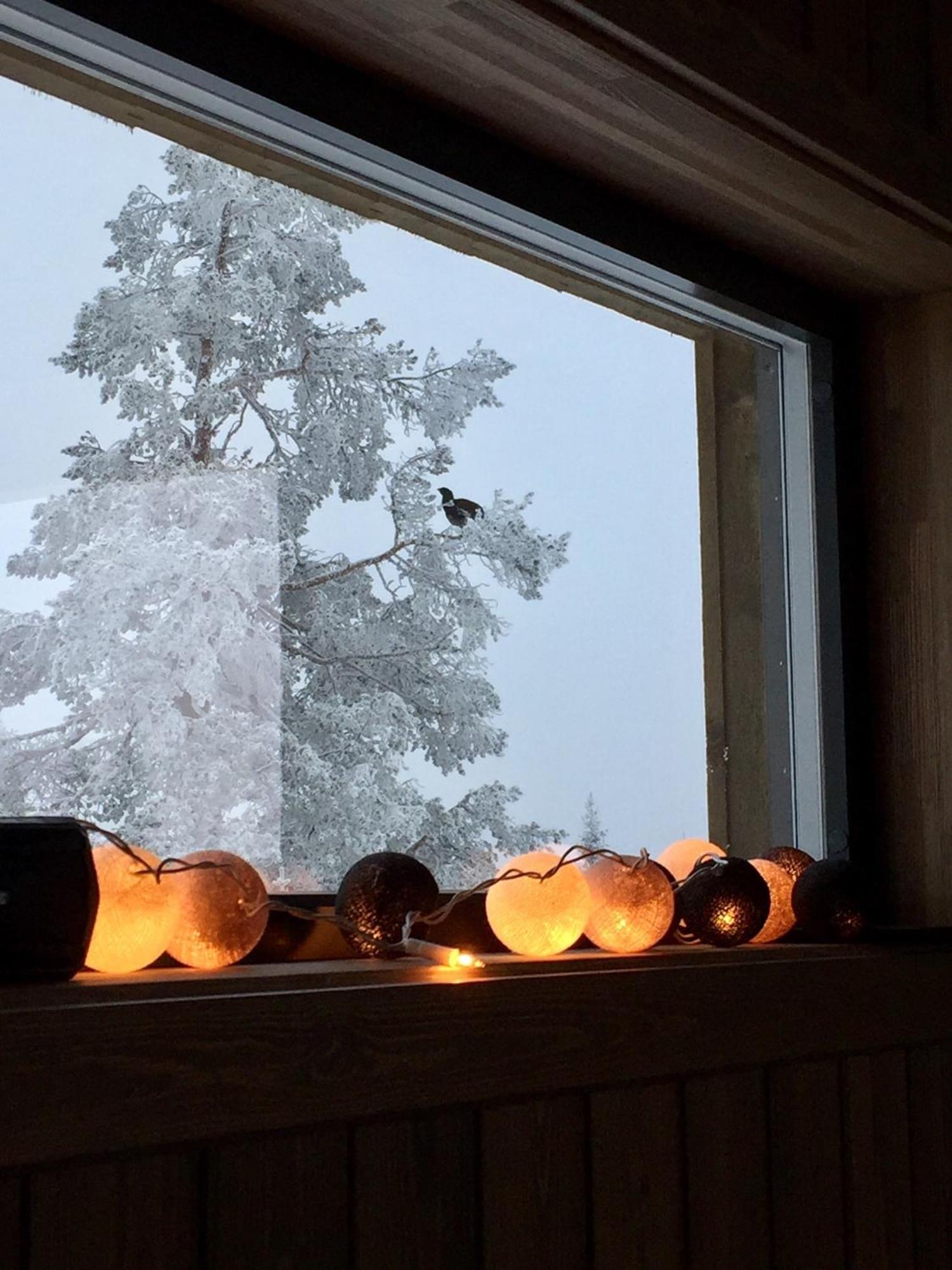 Sjusjoen Hytteutleie As Dış mekan fotoğraf