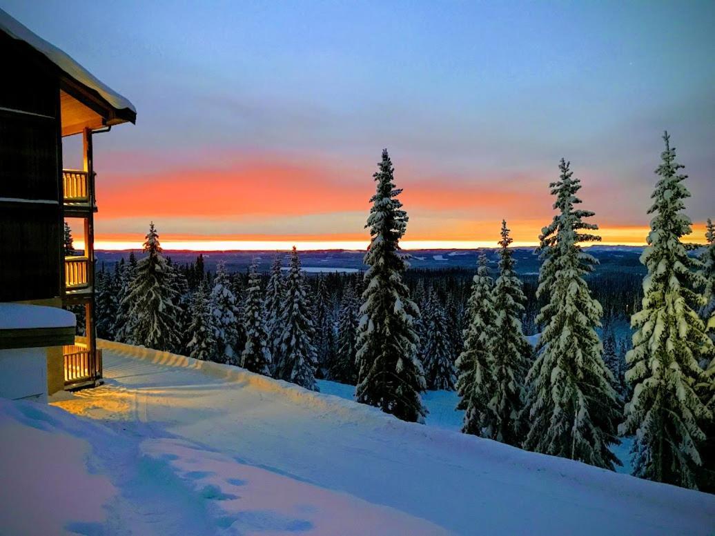 Sjusjoen Hytteutleie As Villa Dış mekan fotoğraf