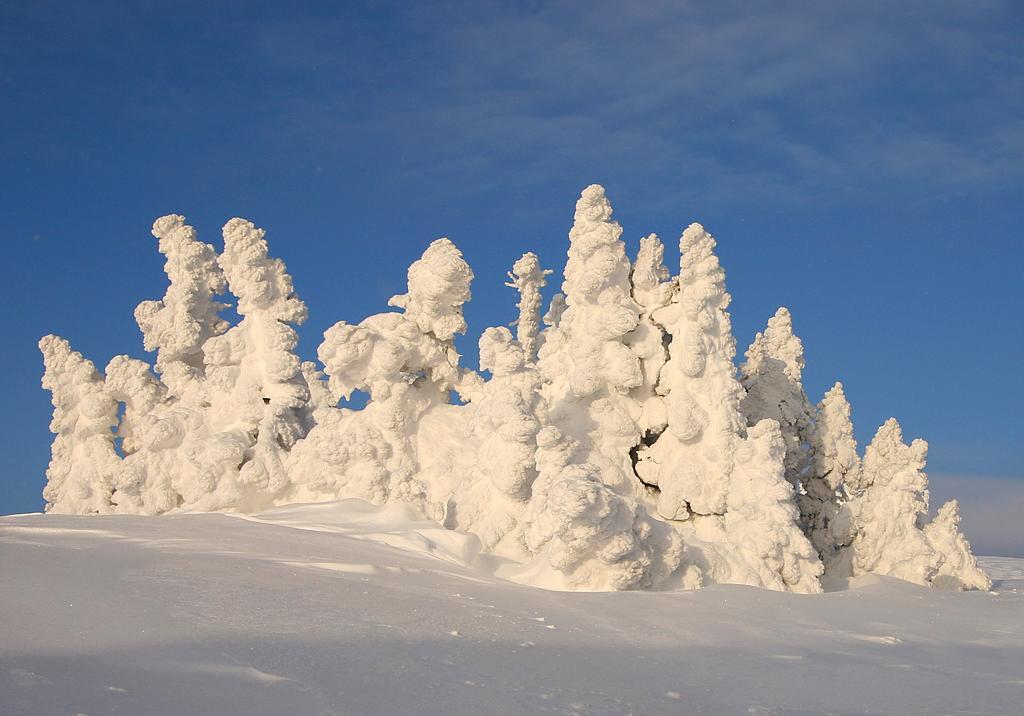 Sjusjoen Hytteutleie As Villa Dış mekan fotoğraf