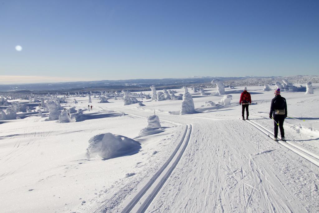 Sjusjoen Hytteutleie As Villa Dış mekan fotoğraf