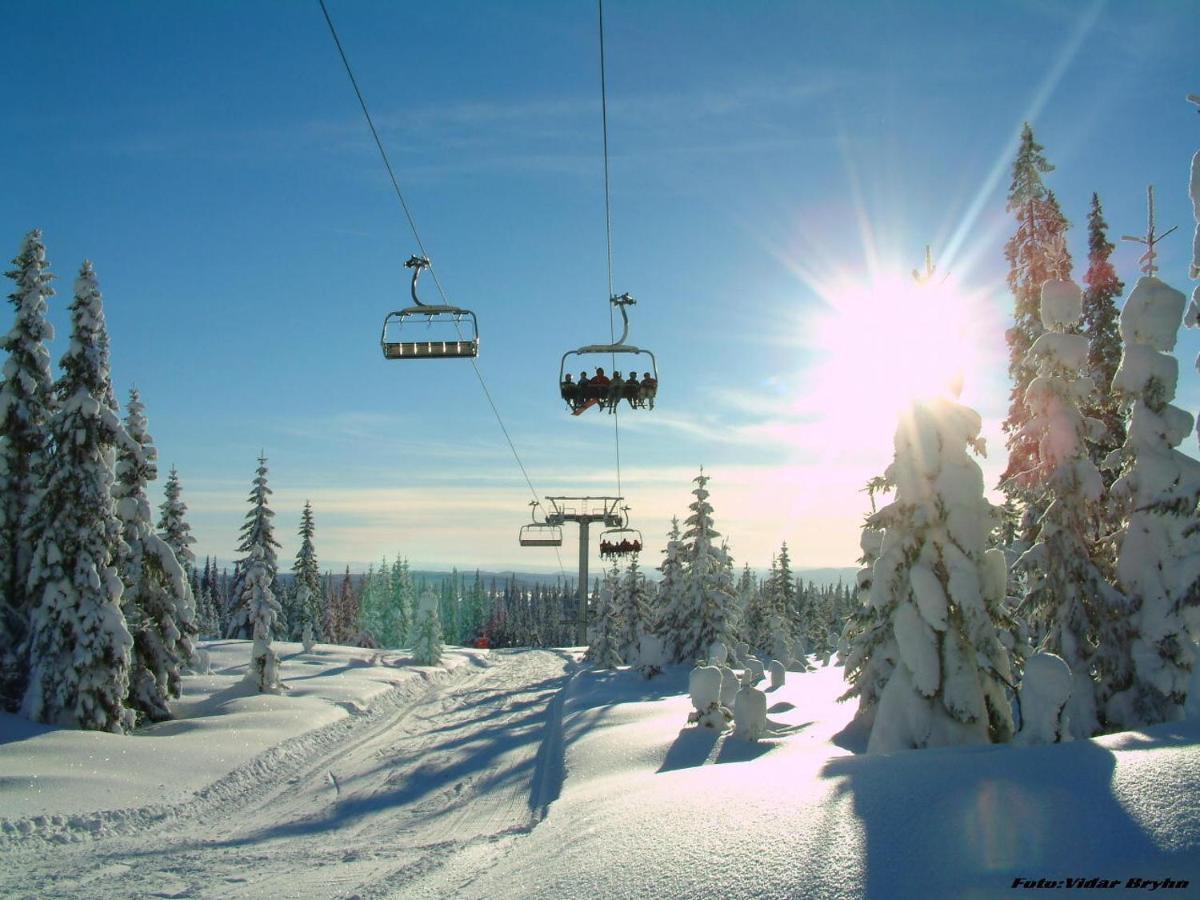 Sjusjoen Hytteutleie As Villa Dış mekan fotoğraf