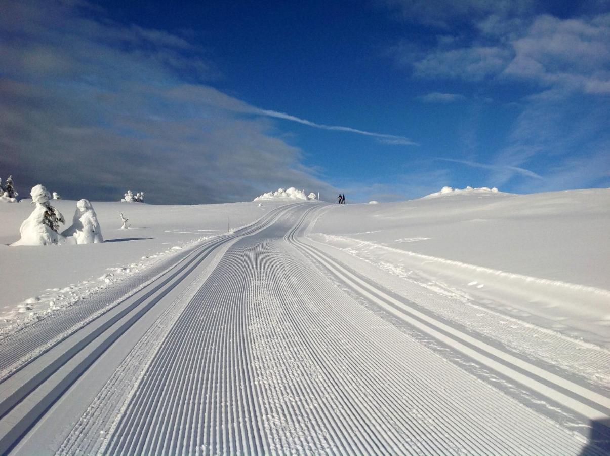 Sjusjoen Hytteutleie As Villa Dış mekan fotoğraf